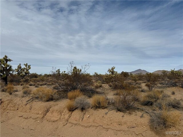 Parcel2559 Diamondback, Yucca, AZ 86438 - photo 4
