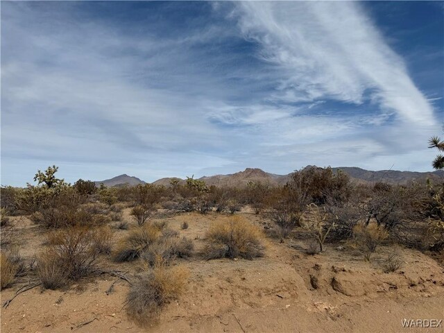 Parcel2559 Diamondback, Yucca, AZ 86438 - photo 3