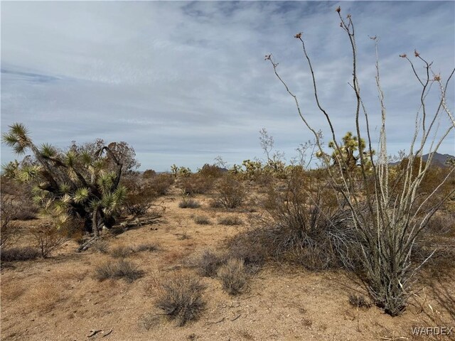 Parcel2559 Diamondback, Yucca, AZ 86438 - photo 7