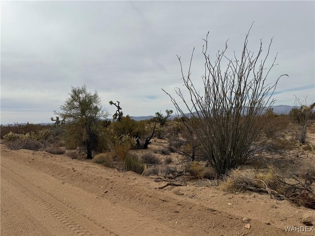 Parcel2559 Diamondback, Yucca, AZ 86438 - photo 14