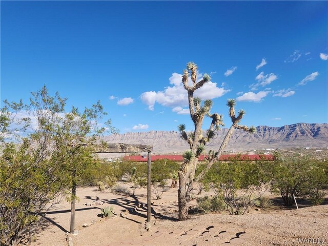 1045 W Echo Dr, Meadview, AZ 86444