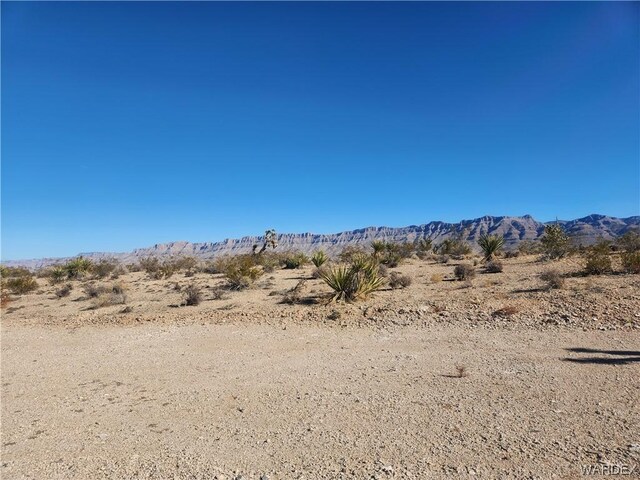 1045 W Echo Dr, Meadview, AZ 86444
