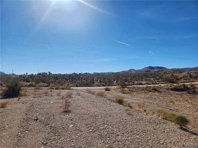 1045 W Echo Dr, Meadview, AZ 86444