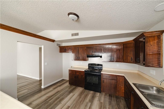 kitchen with wood finished floors, lofted ceiling, electric range, a sink, and extractor fan