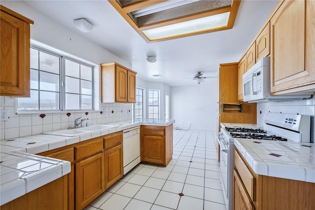2219 E Emerald River Way, Fort Mohave, AZ 86426 - photo 17