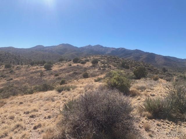 8611 E Palomino Unit 2, Kingman, AZ 86402 - photo 9