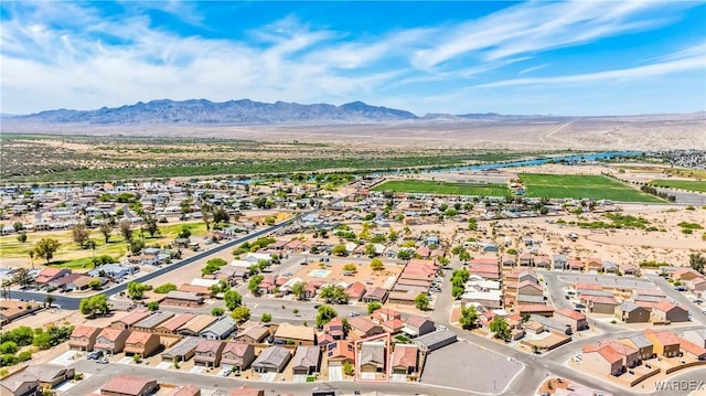 2405 Sandpiper Dr, Bullhead City, AZ 86442 - photo 42
