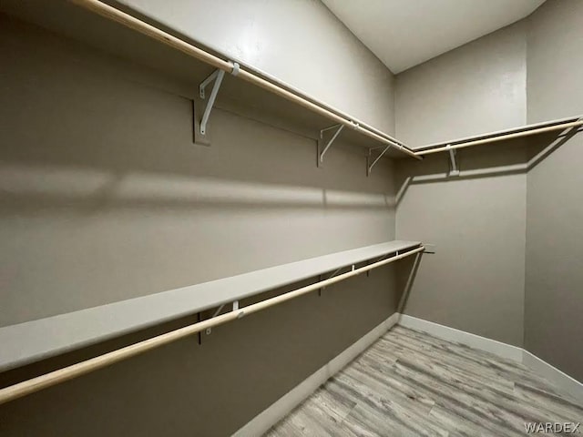 spacious closet featuring light wood-style flooring