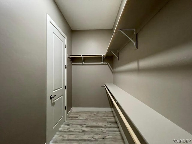 walk in closet with light wood-style flooring