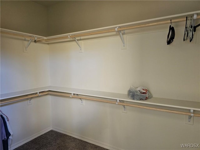 spacious closet with carpet