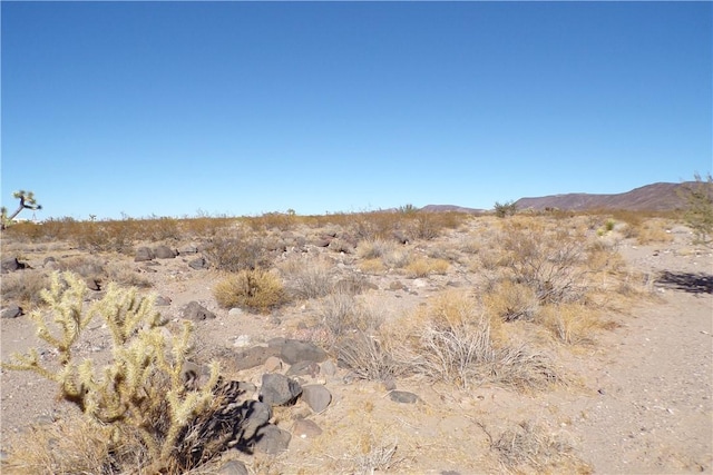 2LOTS N Hitching Post, White Hills, AZ 86445 - photo 16