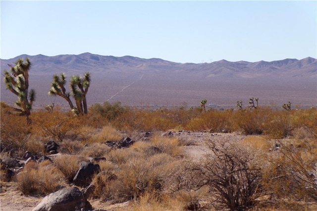 2LOTS N Hitching Post, White Hills, AZ 86445 - photo 15