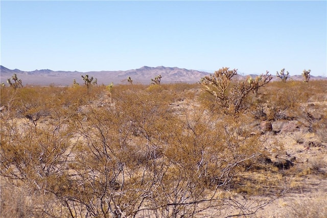 2LOTS N Hitching Post, White Hills, AZ 86445 - photo 12