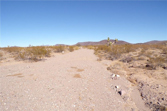 2LOTS N Hitching Post, White Hills, AZ 86445 - photo 18