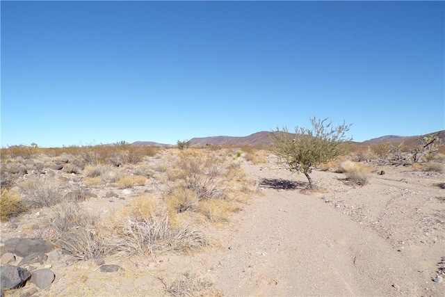 2LOTS N Hitching Post, White Hills, AZ 86445 - photo 17