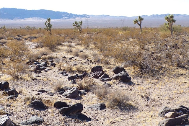 2LOTS N Hitching Post, White Hills, AZ 86445 - photo 22