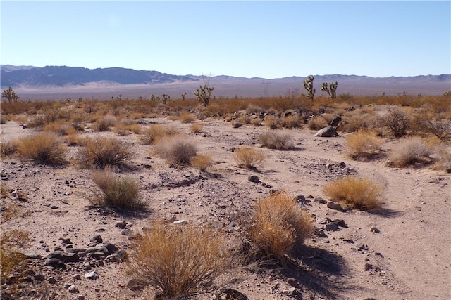 2LOTS N Hitching Post, White Hills, AZ 86445 - photo 13