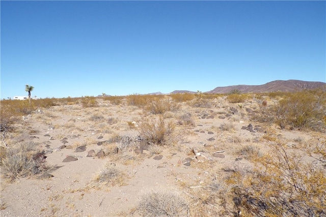 2LOTS N Hitching Post, White Hills, AZ 86445 - photo 20