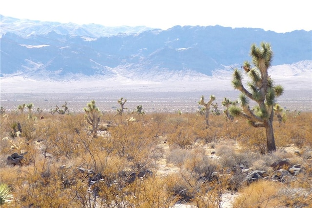 2LOTS N Hitching Post, White Hills, AZ 86445 - photo 6