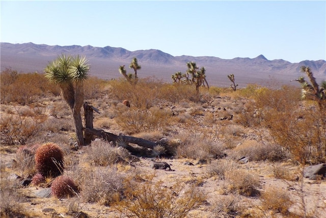 2LOTS N Hitching Post, White Hills, AZ 86445 - photo 1