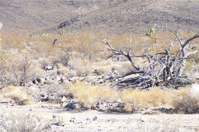 2LOTS N Hitching Post, White Hills, AZ 86445 - photo 21