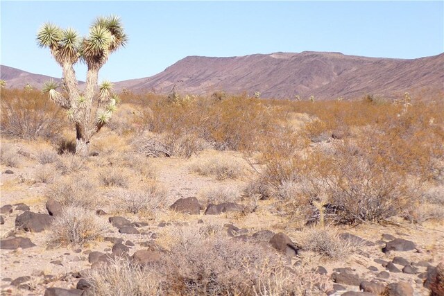 2LOTS N Hitching Post, White Hills, AZ 86445 - photo 8