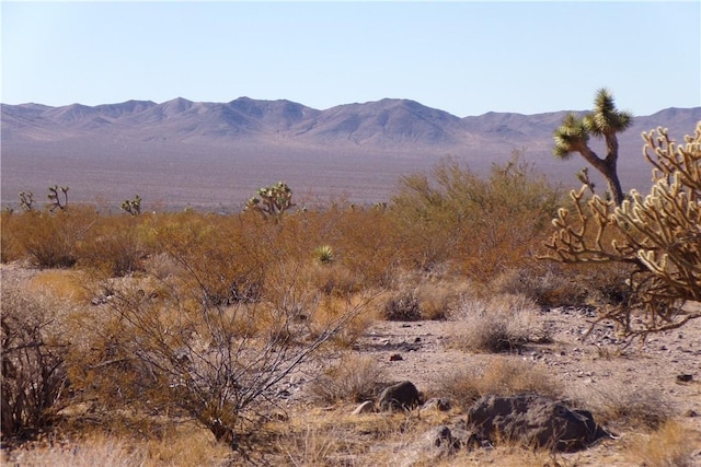 2LOTS N Hitching Post, White Hills, AZ 86445 - photo 14