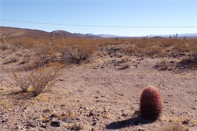 2LOTS N Hitching Post, White Hills, AZ 86445 - photo 23