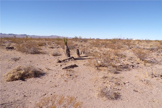 2LOTS N Hitching Post, White Hills, AZ 86445 - photo 9
