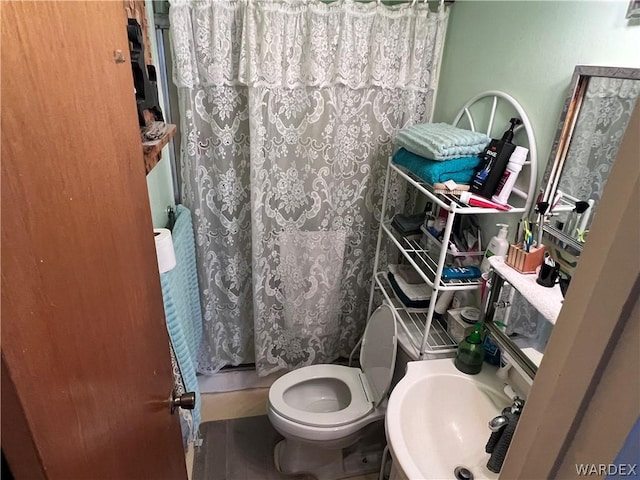 bathroom with toilet and a sink