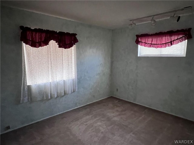 unfurnished room featuring carpet flooring and track lighting