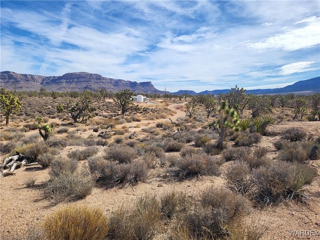 27026 N Pear Ave, Meadview AZ, 86444 land for sale