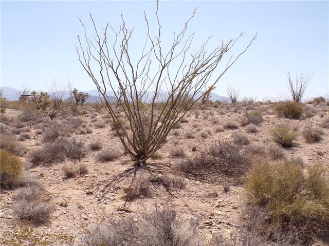 LOT14A S Sherry Rd, Yucca, AZ 86438