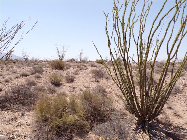 LOT14A S Sherry Rd, Yucca, AZ 86438