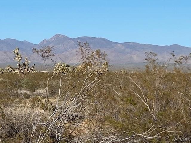 010 E Mesquite Dr, Yucca AZ, 86438 land for sale