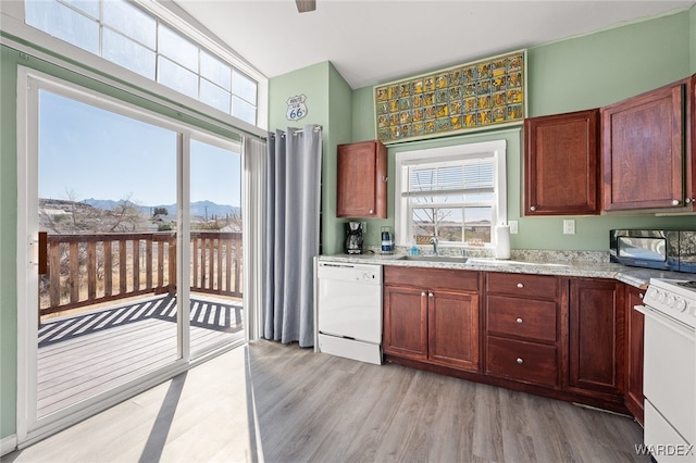 kitchen featuring white appliances, light wood-style floors, a wealth of natural light, and a sink