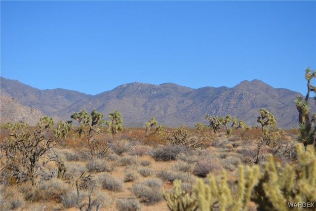 5.5ACRES S Suzette Rd, Yucca AZ, 86438 land for sale