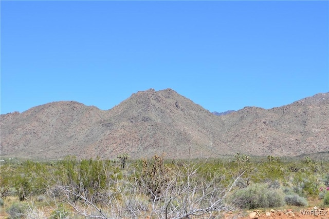 Listing photo 2 for 5.5ACRES S Suzette Rd, Yucca AZ 86438