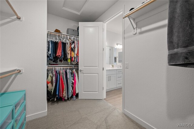 spacious closet featuring attic access and light carpet