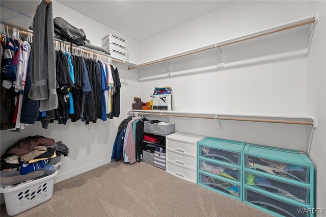 walk in closet featuring carpet flooring