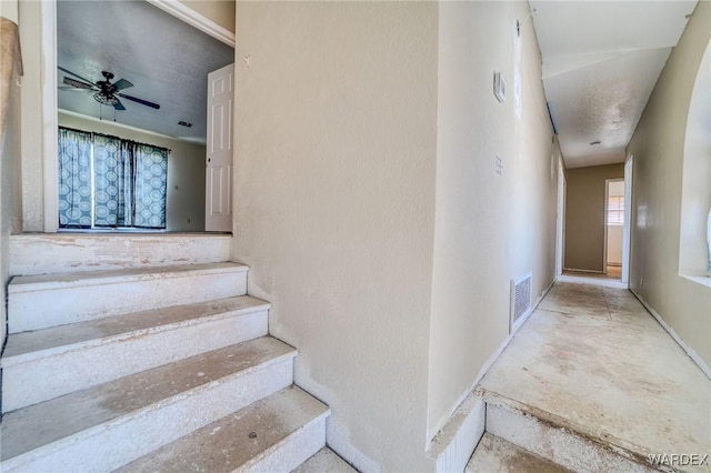 3415 Sundance Dr, Bullhead City, AZ 86429 - photo 33