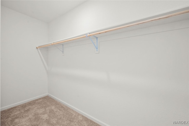 walk in closet with carpet