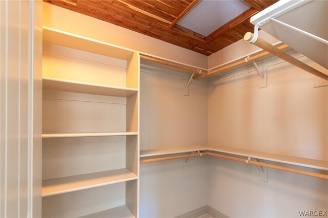 view of walk in closet