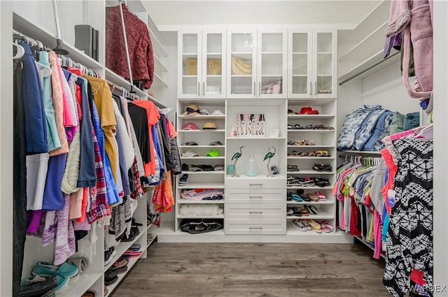 spacious closet with dark wood finished floors