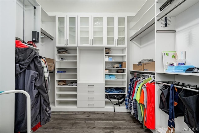 spacious closet featuring dark wood-type flooring