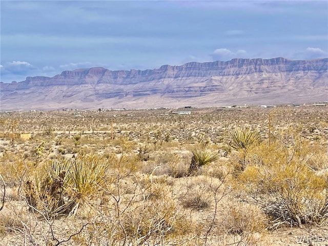 1650 W Safari Dr, Meadview, AZ 86444