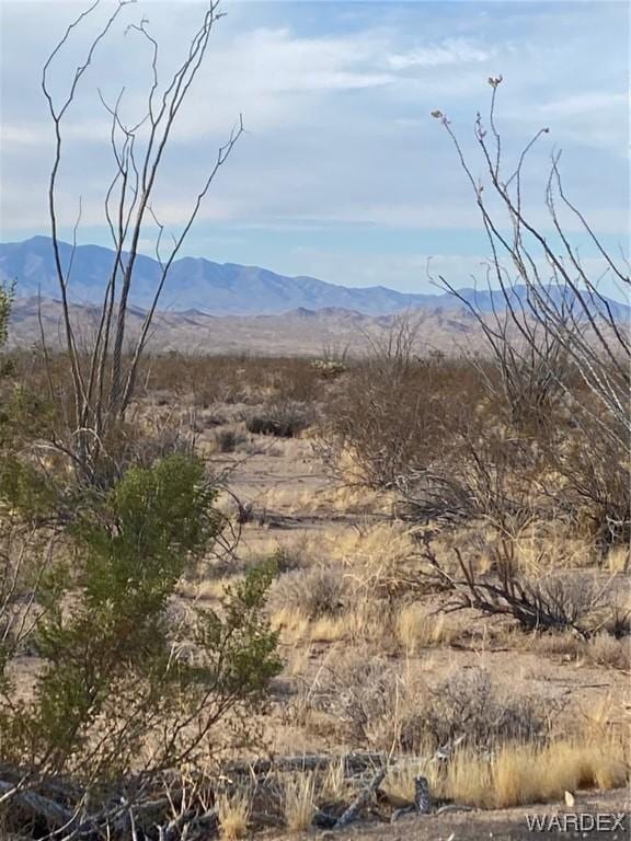 3214 W Crystal Springs Rd, Yucca AZ, 86438 land for sale