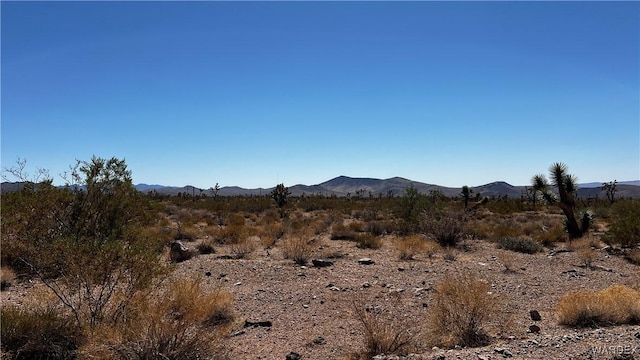 8734 W Mc Grath Dr, White Hills AZ, 86445 land for sale