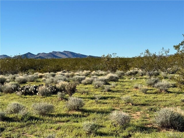 10AC Colorado Rd, Golden Valley, AZ 86413 - photo 6