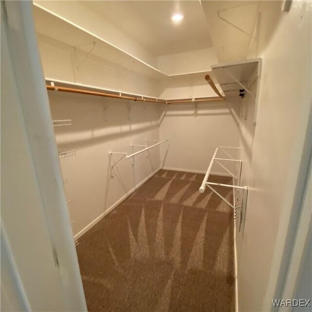 walk in closet with dark carpet